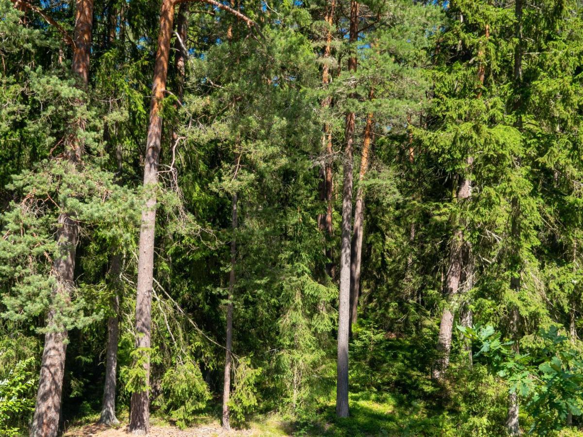 Nature Guest House Võsu Eksteriør bilde